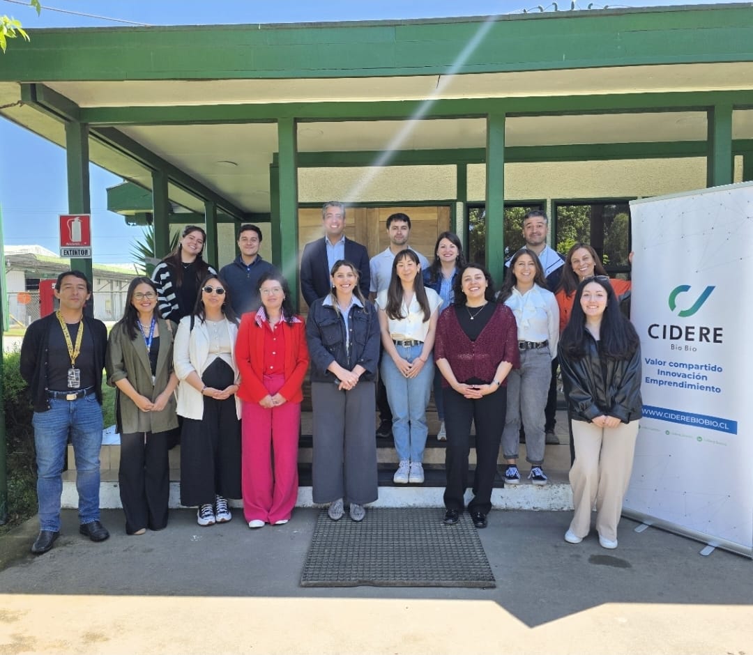 Prevención de incendios y recuperación de alimentos marcan la última sesión de la Mesa de Impacto Social de CIDERE Biobío