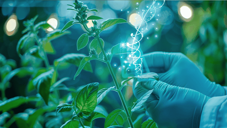 35 años de ciencia aplicada: Bioforest se posiciona como un referente en innovación forestal en el mundo